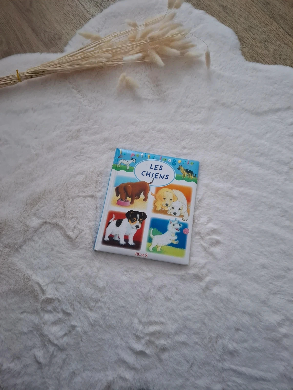📚 livre page plastifié la petite imagerie Les chiens Fleurus